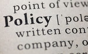 policy-in-the-dictionary